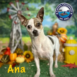 Ana