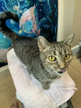 Marbles (sweet girl)