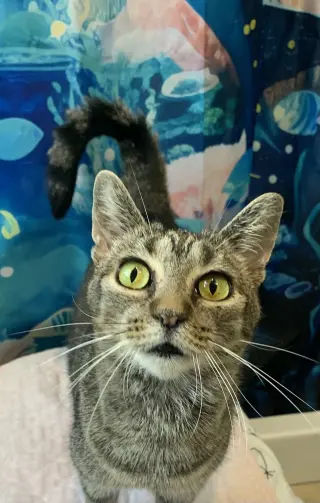 Marbles (sweet girl)