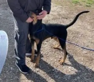 AJ