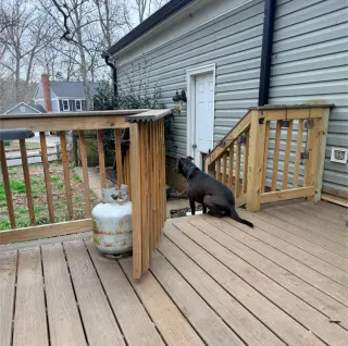 MOCHA (annie)