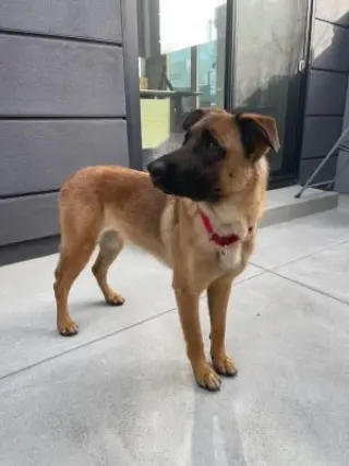 Roxie