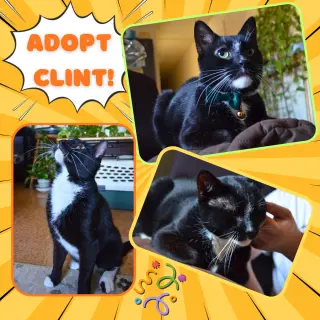 Clint