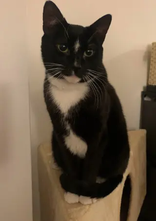 Clint