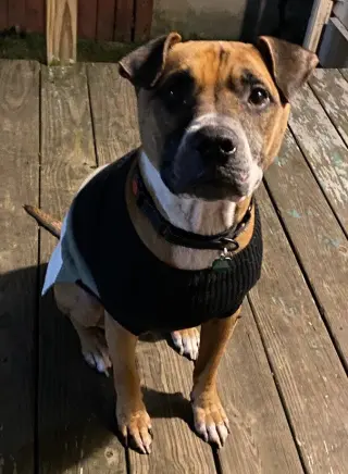 Bubba