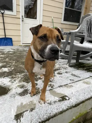 Bubba