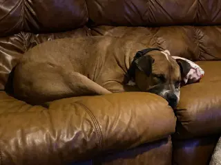 Bubba
