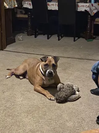 Bubba