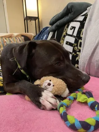 Mia