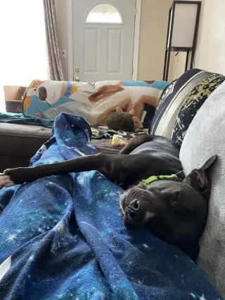 Mia