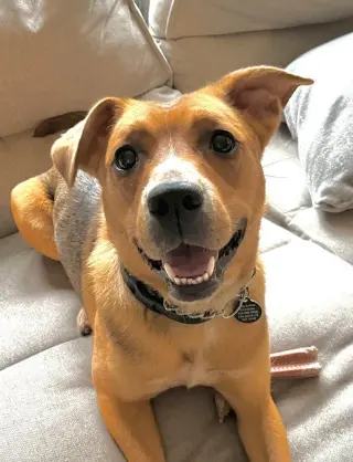 Ruby