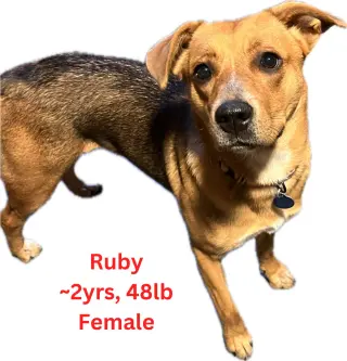 Ruby