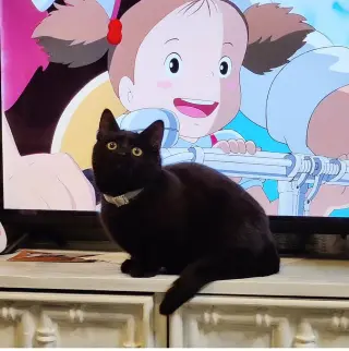 Cleo (Trax)
