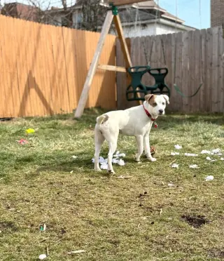 Luna