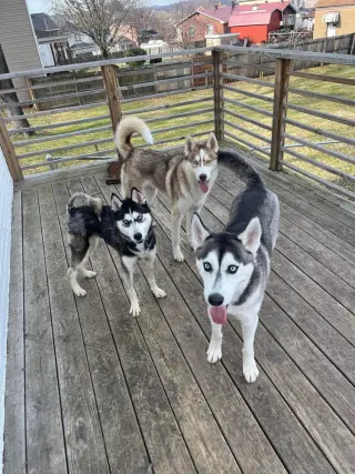 Kira