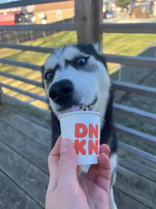 Kira