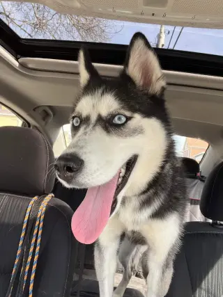 Kira