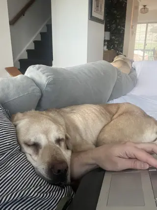 Lexie