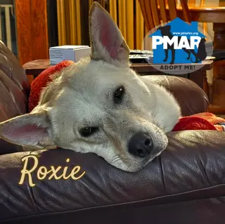 Roxie