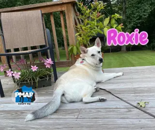 Roxie