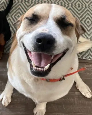 CHILI (COURTESY POST)