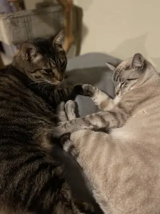 Francisco & Freeway