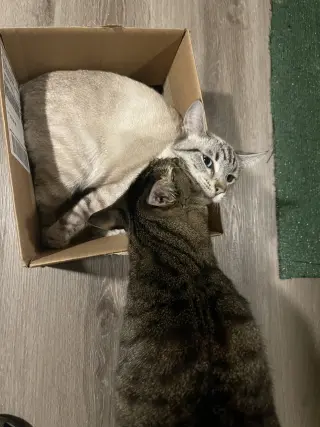 Francisco & Freeway