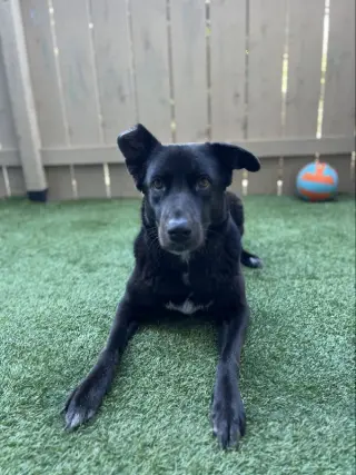 Winnie