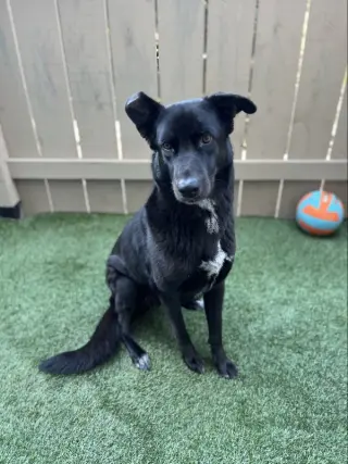 Winnie