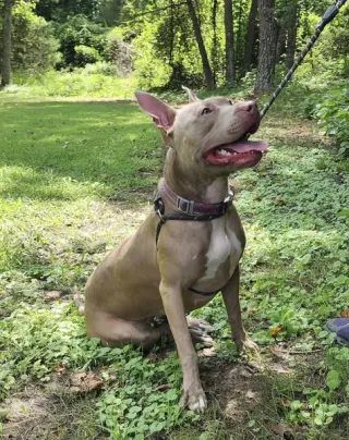 Persephone in Gloucester VA