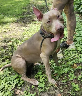 Persephone in Gloucester VA
