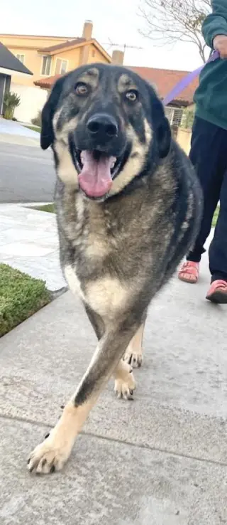 Denali