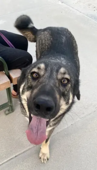 Denali