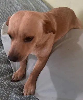 Marley