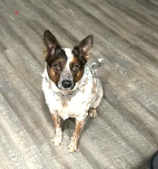 KOBE