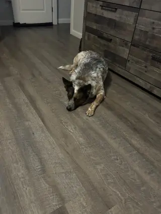 KOBE