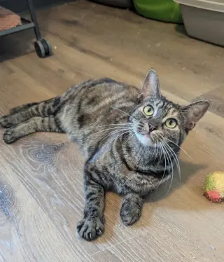 Cecilia