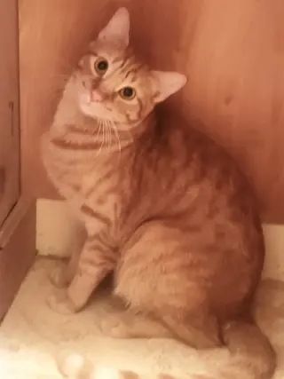 Ginger boy #the-sweetest
