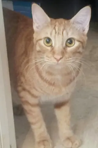 Ginger boy #the-sweetest