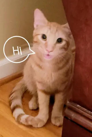 Ginger boy #the-sweetest