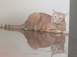 Ginger boy #the-sweetest