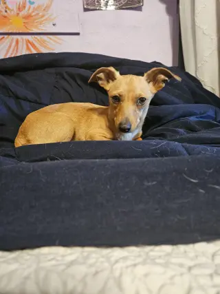 CHIQUITA