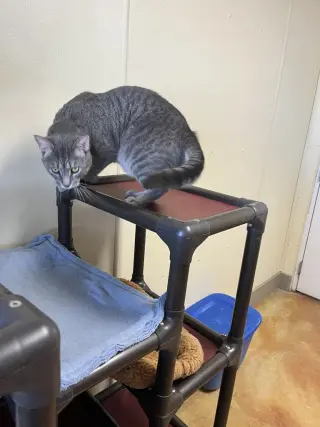 Franklin