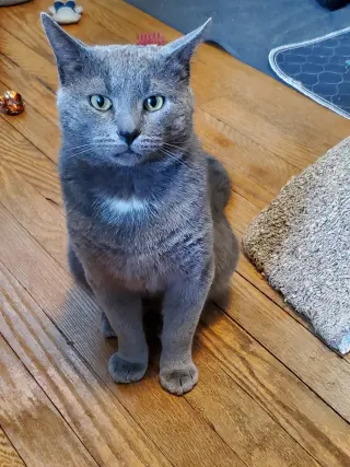 Prince
