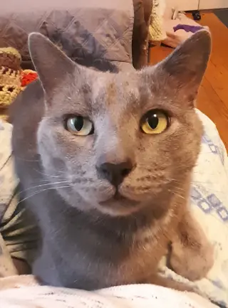 Prince