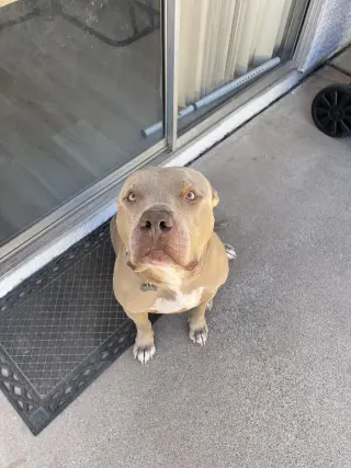 PUDGE