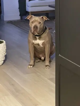 PUDGE