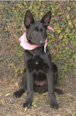 Molly