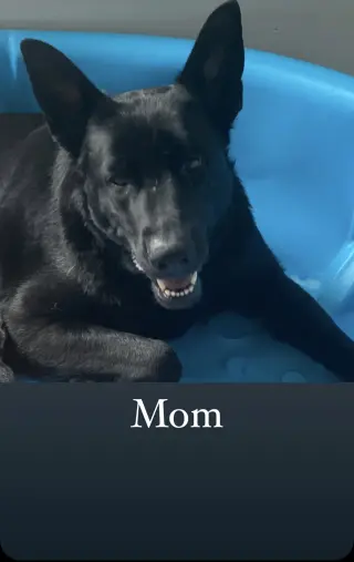 Molly