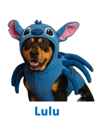 Lulu